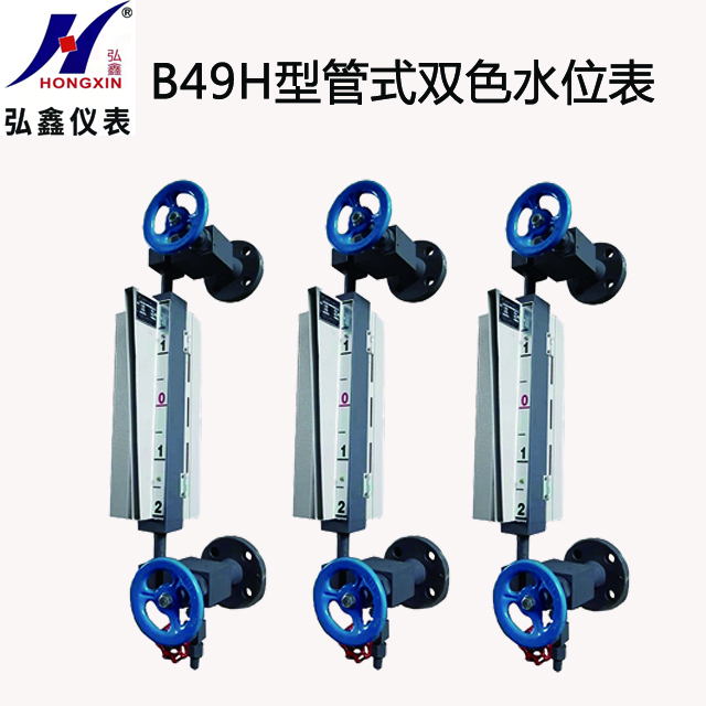 B49H型石英管式双色水位表